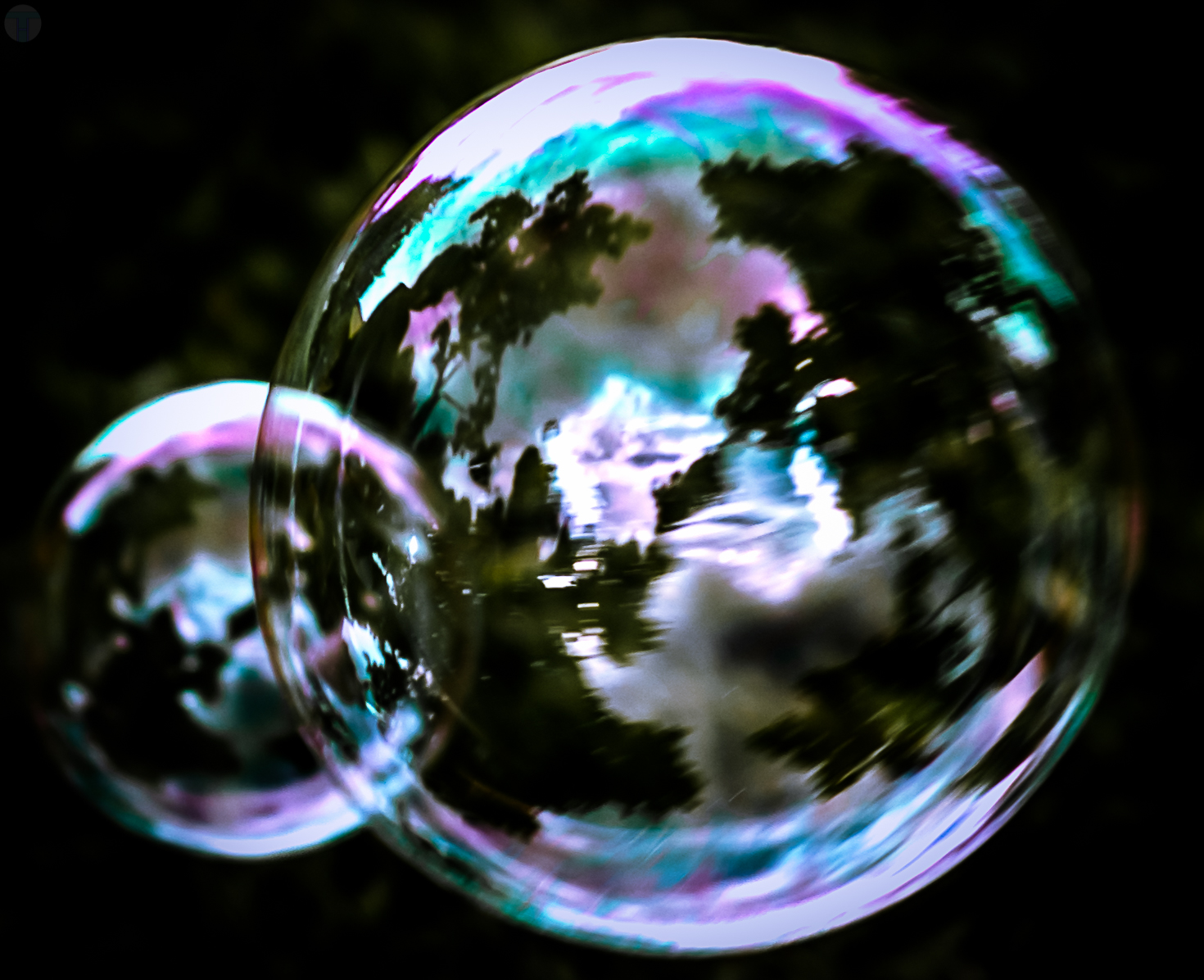 My Bubbles